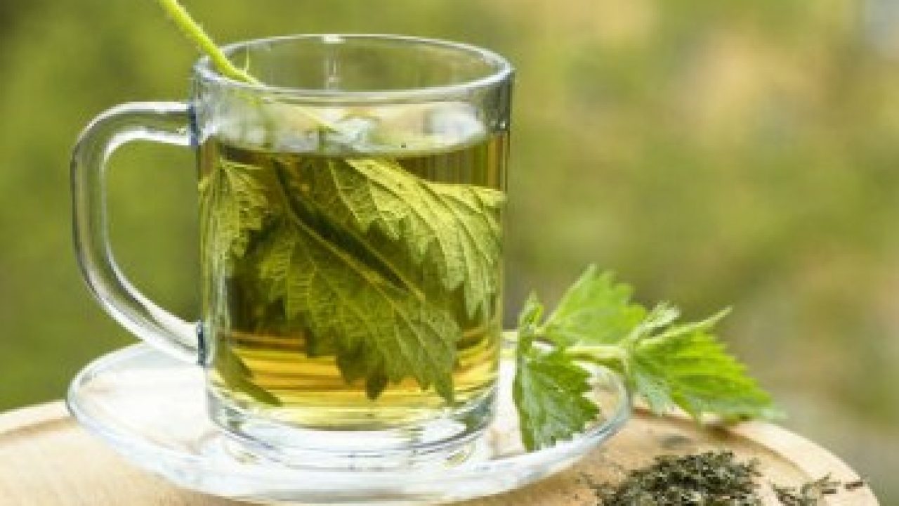 11 manfaat air rebusan daun seledri untuk diet agar cepat